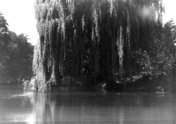 Matthias Kaul - 0136 - Spreewald